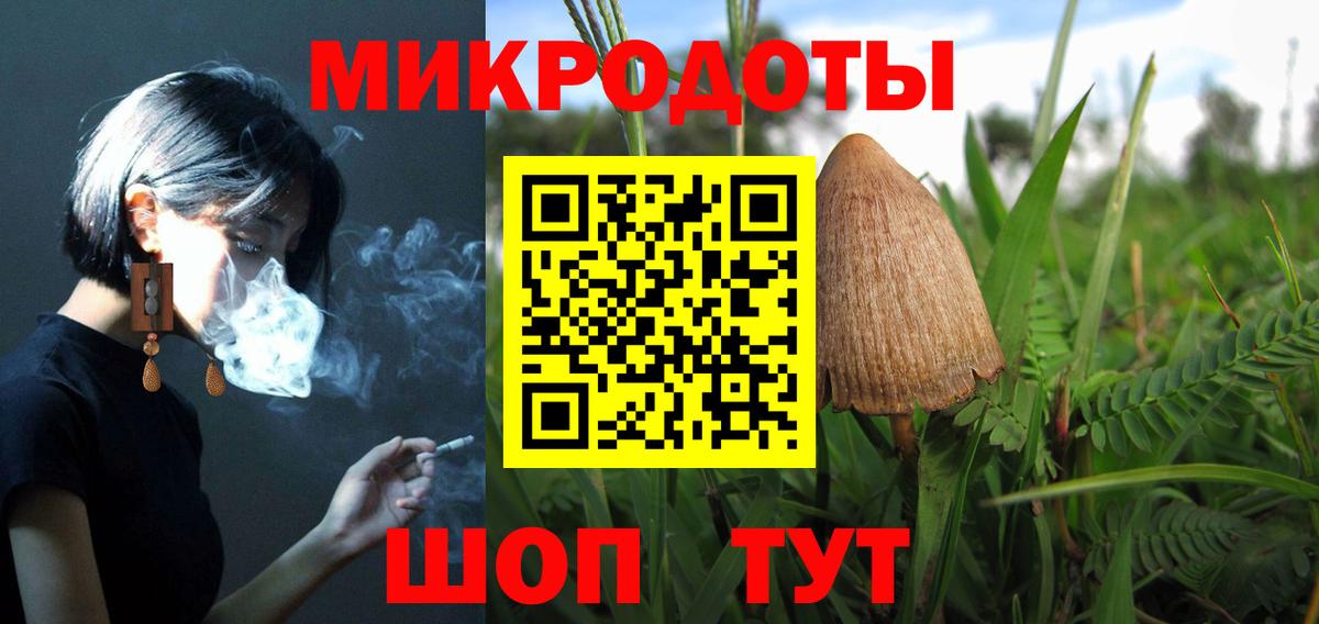 Псилоцибиновые грибы Psilocybe  Псилоцибиновые грибы MAGIC MUSHROOMS  Вход с VPN  где найти наркотики  Новокузнецк 